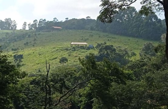 Excelente Lugar
